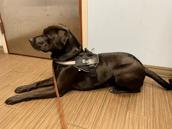 Brookhaven Animal Hospital 7