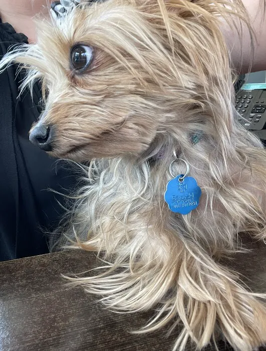 Brookhaven Animal Hospital 9