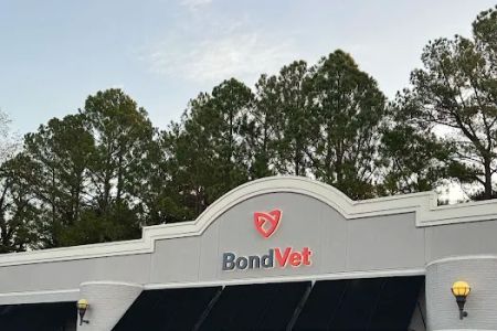 Bond Vet - Buckhead