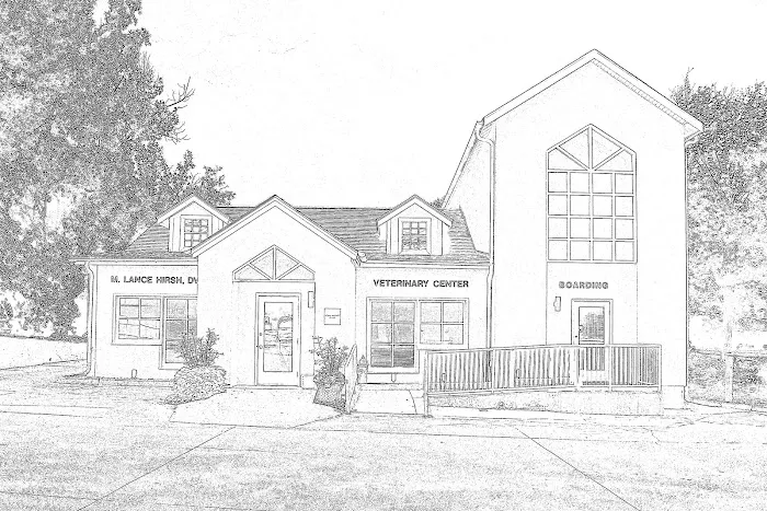 Veterinary Center of Buckhead 12