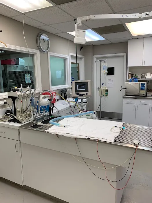 Veterinary Center of Buckhead 12