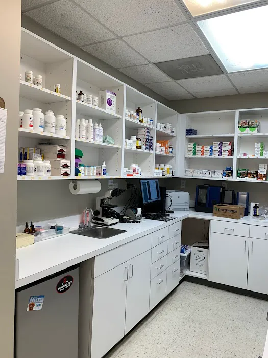 Veterinary Center of Buckhead 12