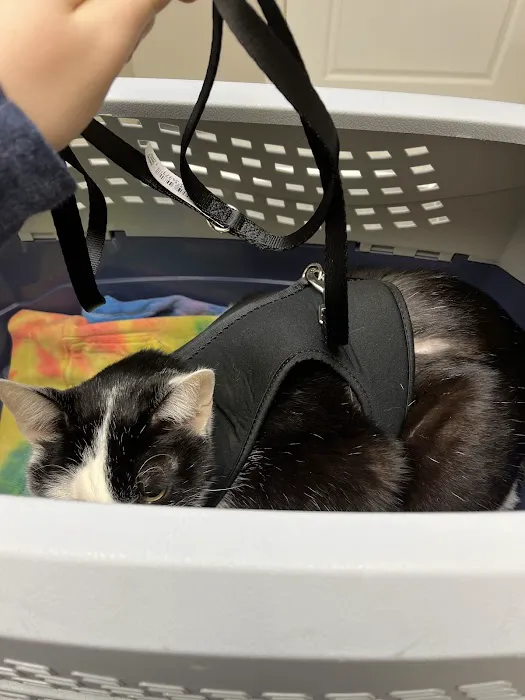 Veterinary Center of Buckhead 12