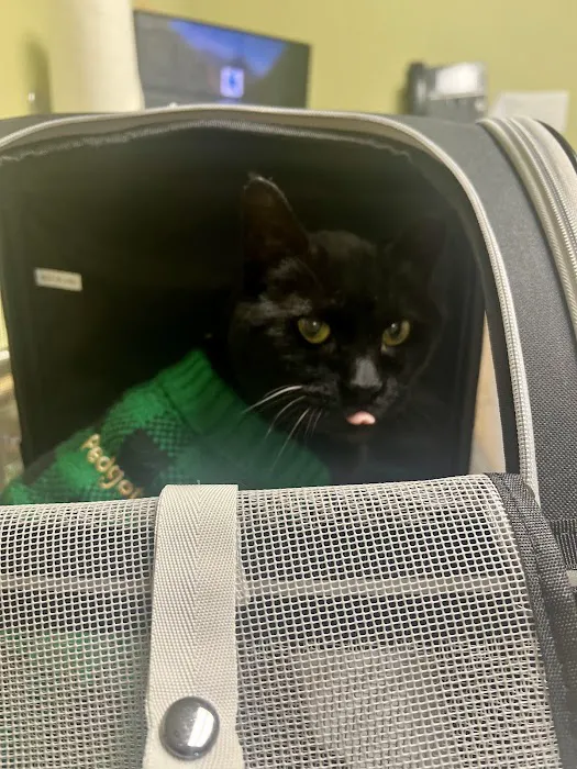 Banfield Pet Hospital 12