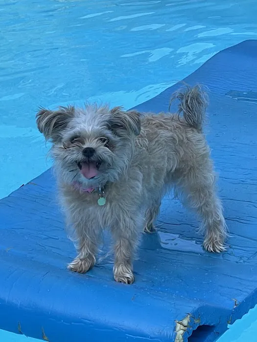 Banfield Pet Hospital 12