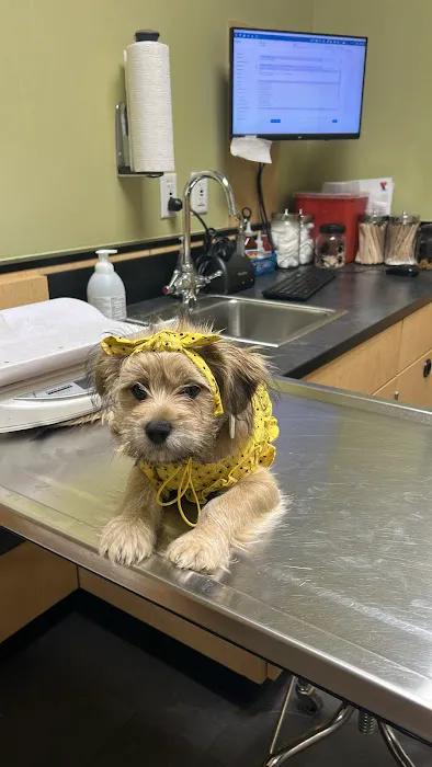 Banfield Pet Hospital 12