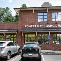 Powers Ferry Animal Hospital ico