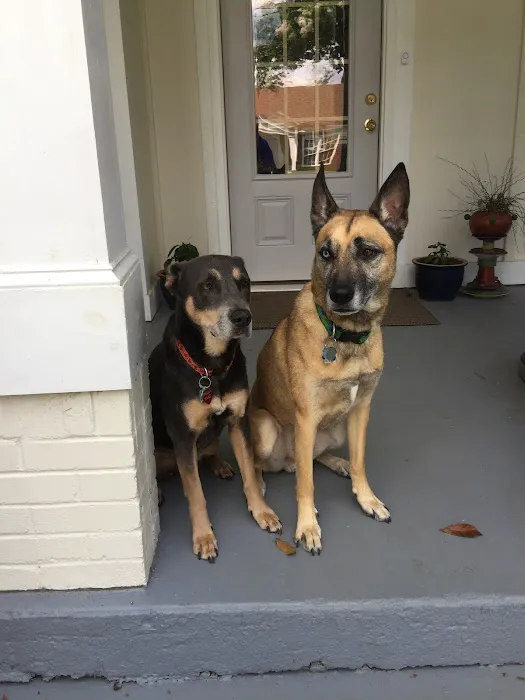 Powers Ferry Animal Hospital 12