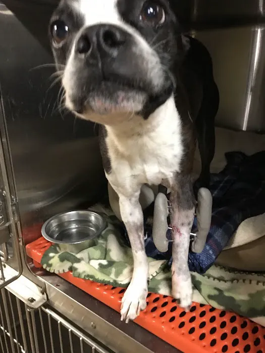 Carroll County Animal Hospital (Columbia) 7