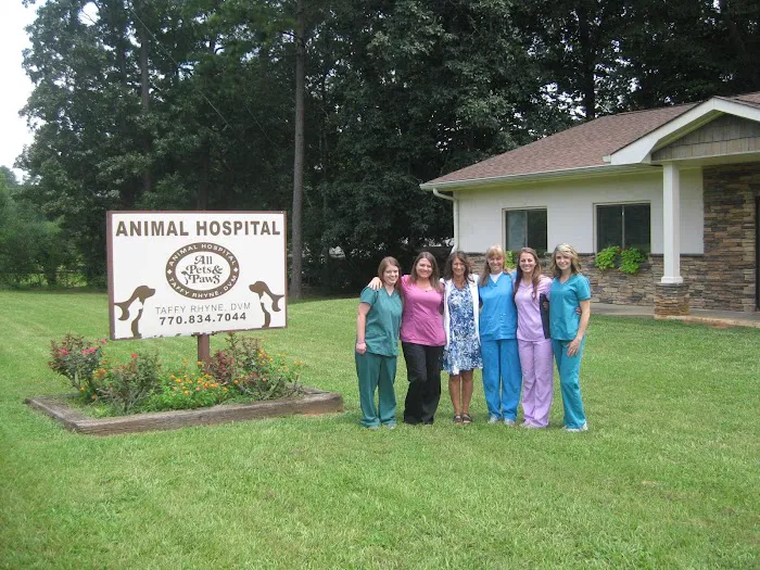 All Pets & Paws Animal Hospital 10