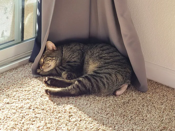Lawrenceville Animal Care Center 2