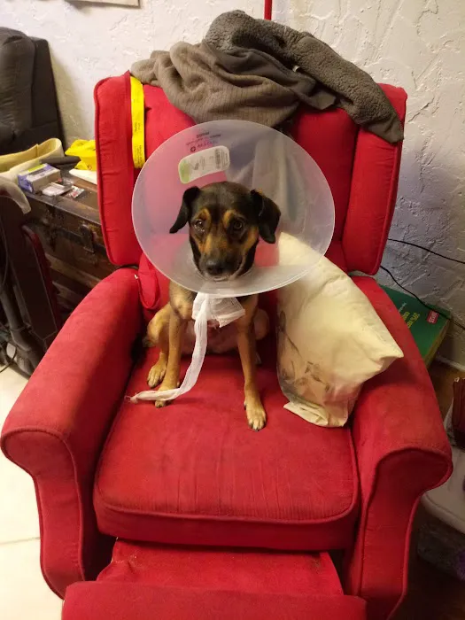 Carroll County Animal Hospital 12