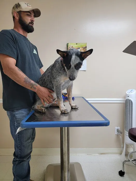 Carroll County Animal Hospital 12