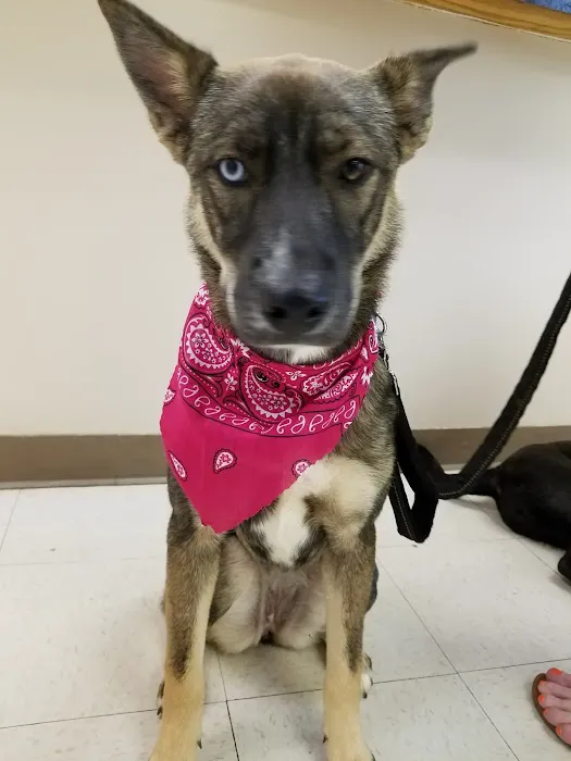 Carroll County Animal Hospital 12