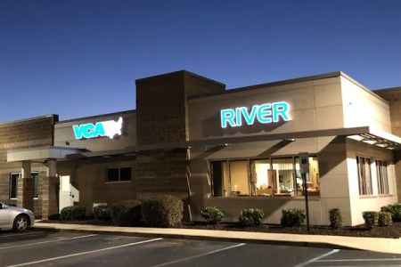 VCA Regional Institute for Veterinary Emergencies and Referrals
