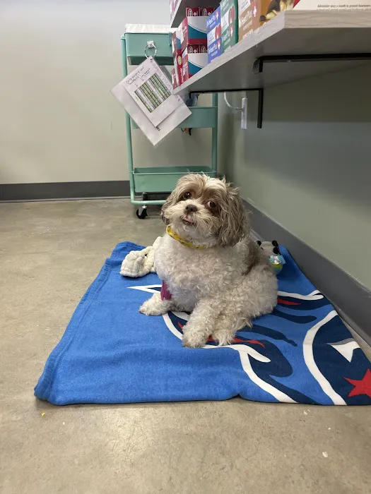 Lookout Valley Veterinary Clinic 5