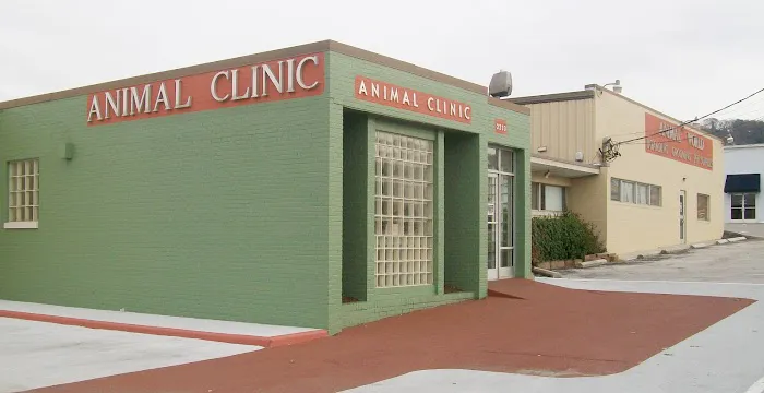 Animal Clinic Downtown 12
