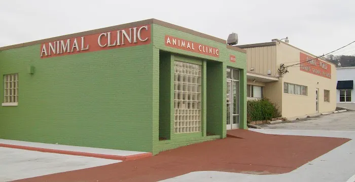 Animal Clinic Downtown 12