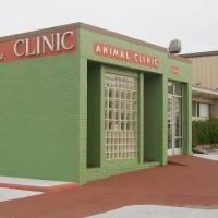 Animal Clinic Downtown ico
