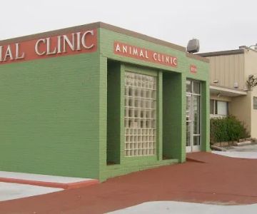 Animal Clinic Downtown
