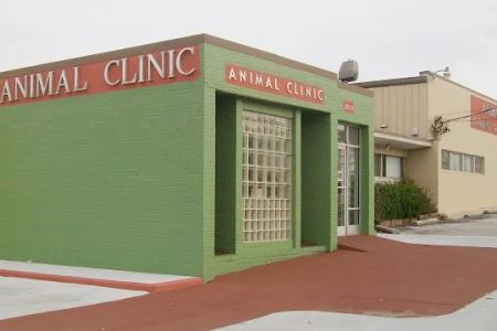 Animal Clinic Downtown