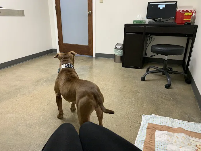Main Street Pet Wellness Center 2