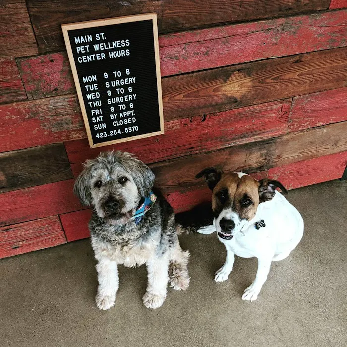 Main Street Pet Wellness Center 8