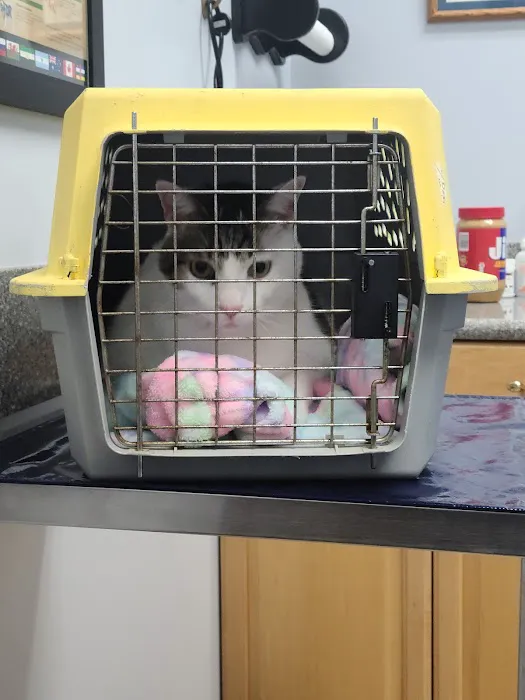 East Ridge Animal Hospital 1
