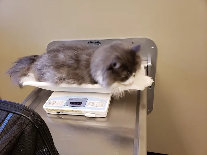 Riverview Animal Hospital 6