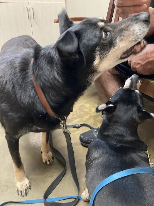 Riverview Animal Hospital 10