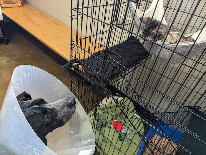 Riverview Animal Hospital 9