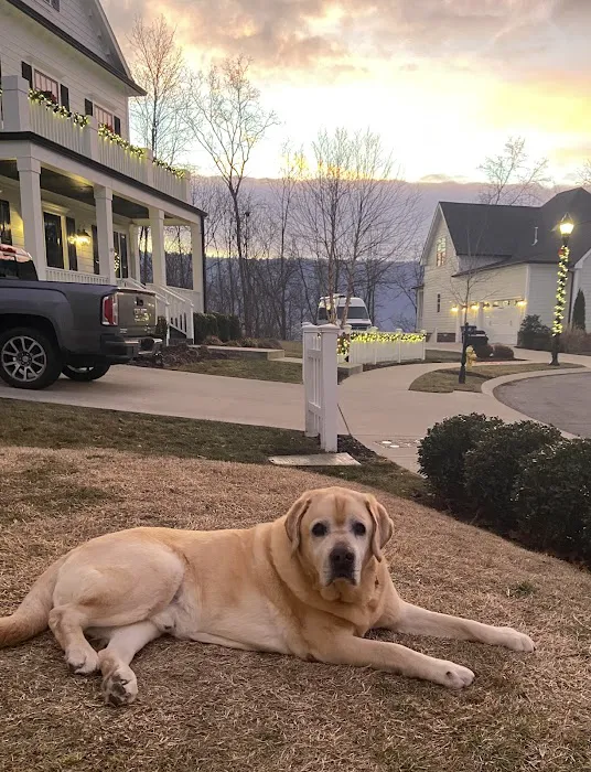 Riverview Animal Hospital 8