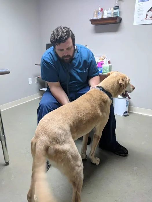 North Shore Pet Wellness Center - Dr Jordan Mracna, DVM 12