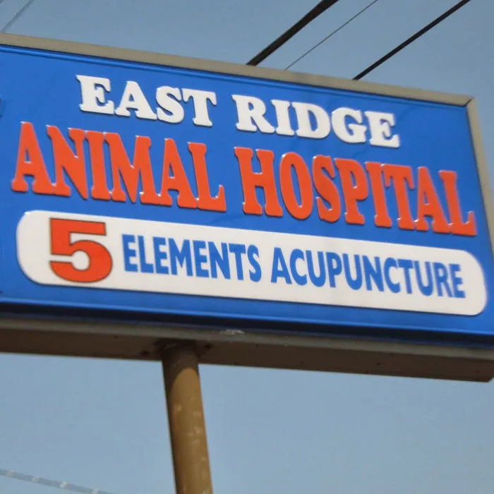 East Ridge Animal Hospital: Robert Knarr, DVM 12