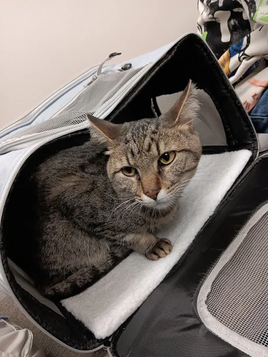 Signal Mountain Veterinary Clinic 12