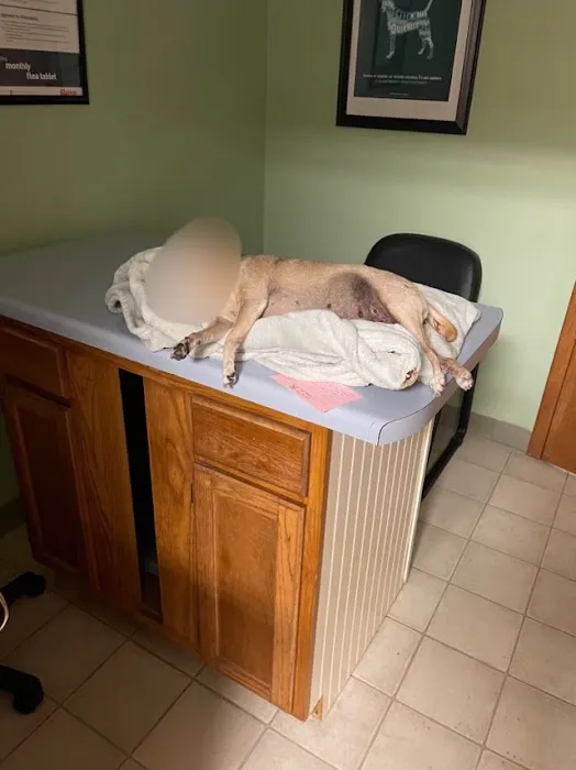 Brainerd Hills Veterinary Hospital 10