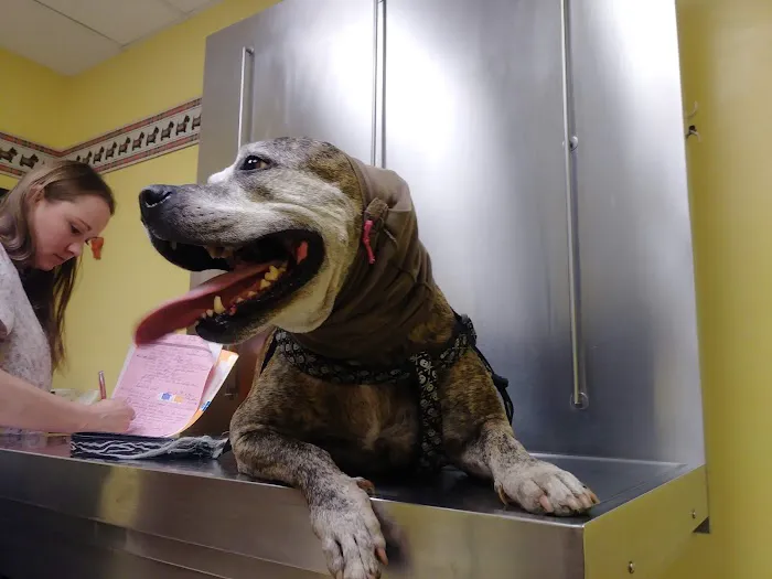 Brainerd Hills Veterinary Hospital 3