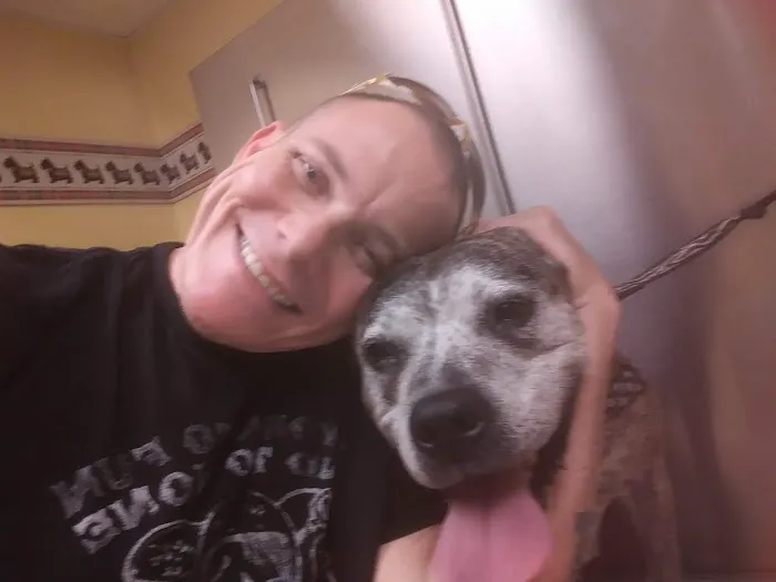 Brainerd Hills Veterinary Hospital 1
