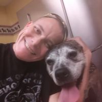 Brainerd Hills Veterinary Hospital ico
