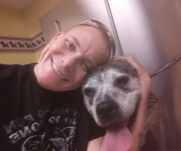 Brainerd Hills Veterinary Hospital