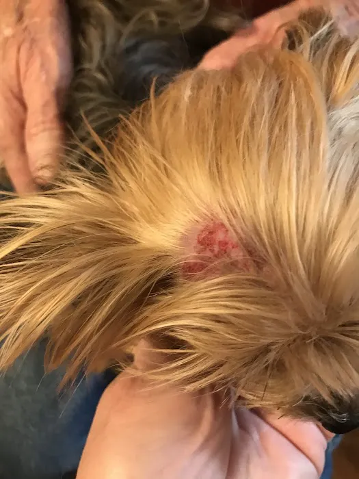 Brainerd Hills Veterinary Hospital 5
