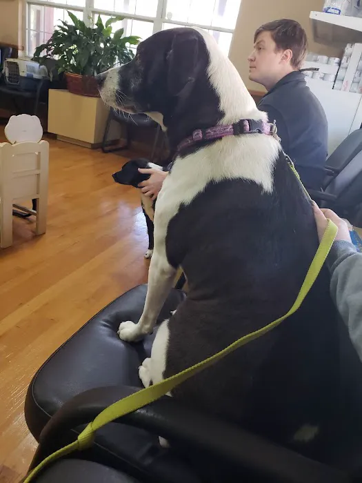 Brainerd Hills Veterinary Hospital 8