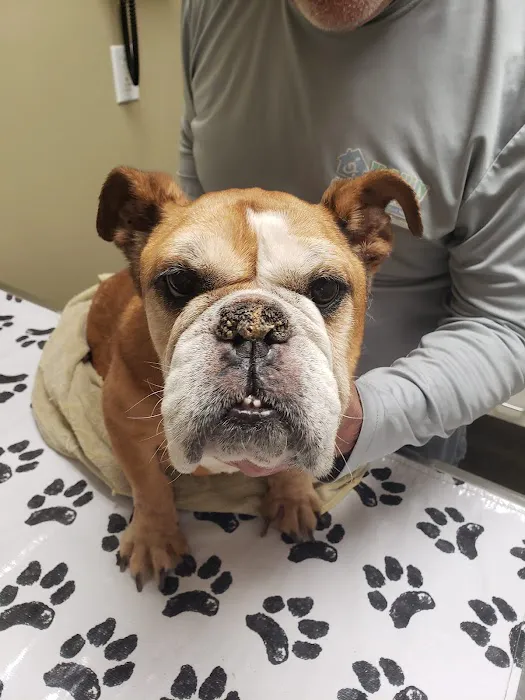 Ashland Terrace Animal Hospital 2