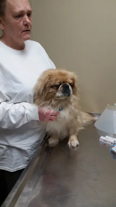 Ashland Terrace Animal Hospital 8