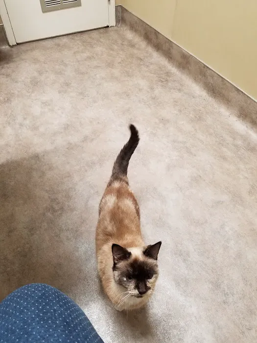 Ashland Terrace Animal Hospital 3