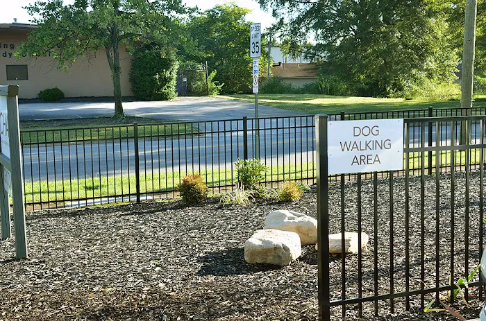 Chattanooga Holistic Animal Institute 9