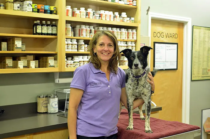 Chattanooga Holistic Animal Institute 4