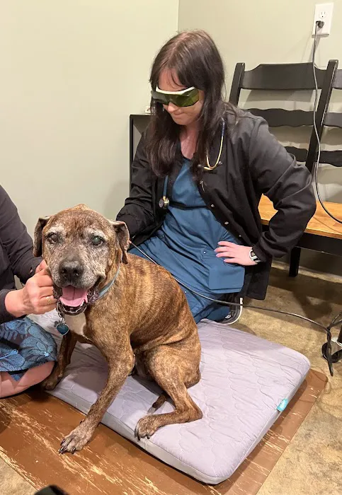 Chattanooga Holistic Animal Institute 7