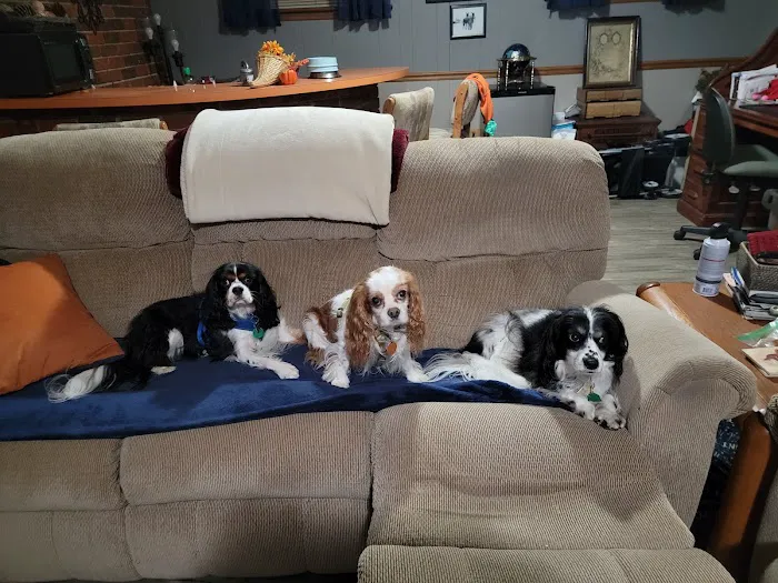 Northgate Animal Hospital 1