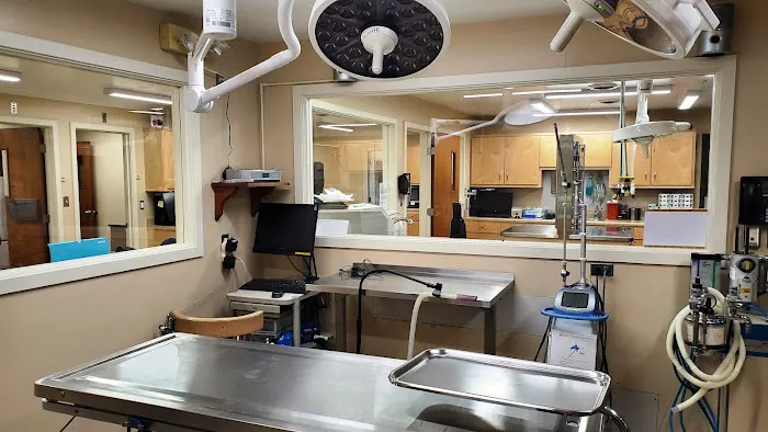 Northgate Animal Hospital 3